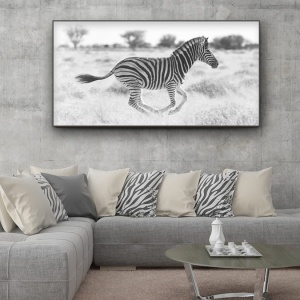 obyvaci pokoj_zebra_06